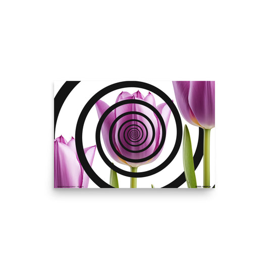 Spirals-004 Print 18" x 12"